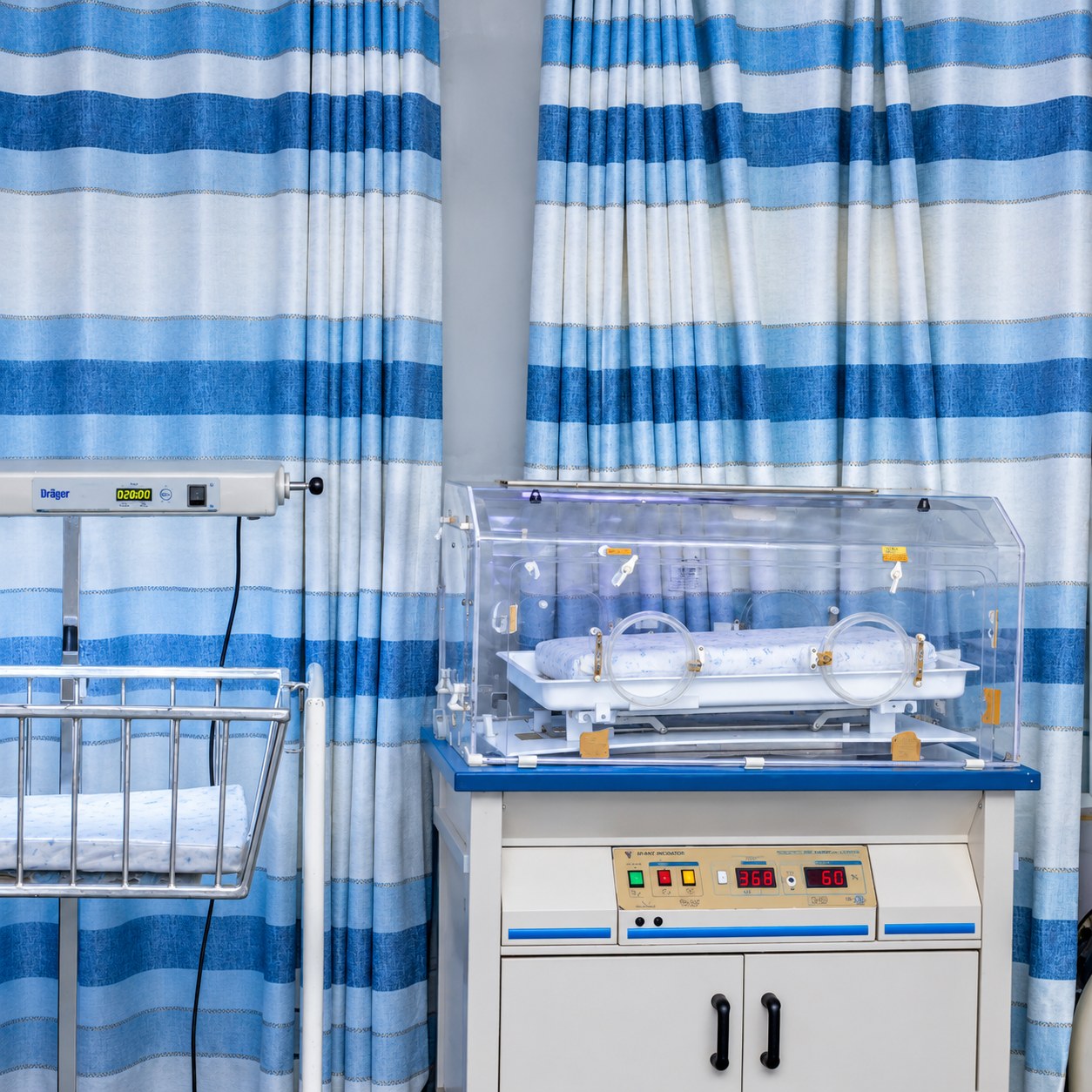 Neonatal incubator and nursery